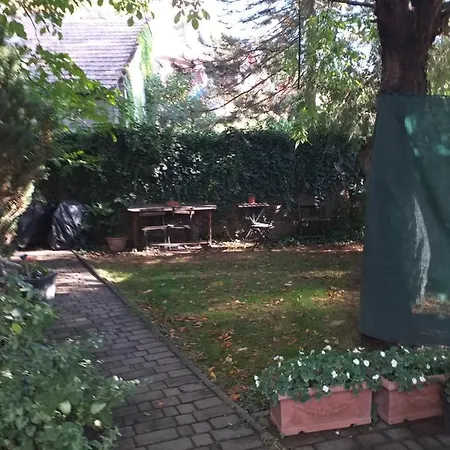 Galeria * 维斯普雷姆